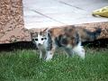 Caramel 07-05 022